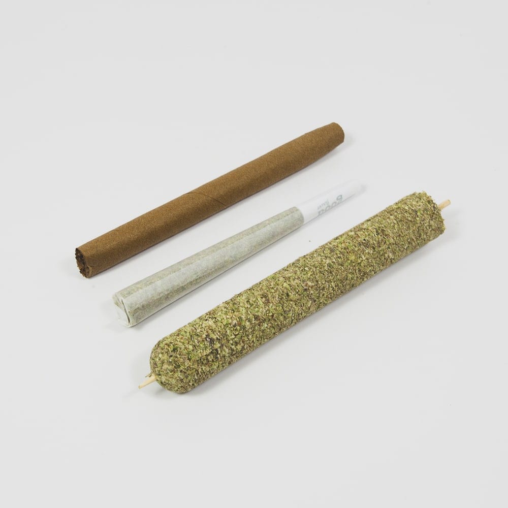 Large CannaMold - Image 5