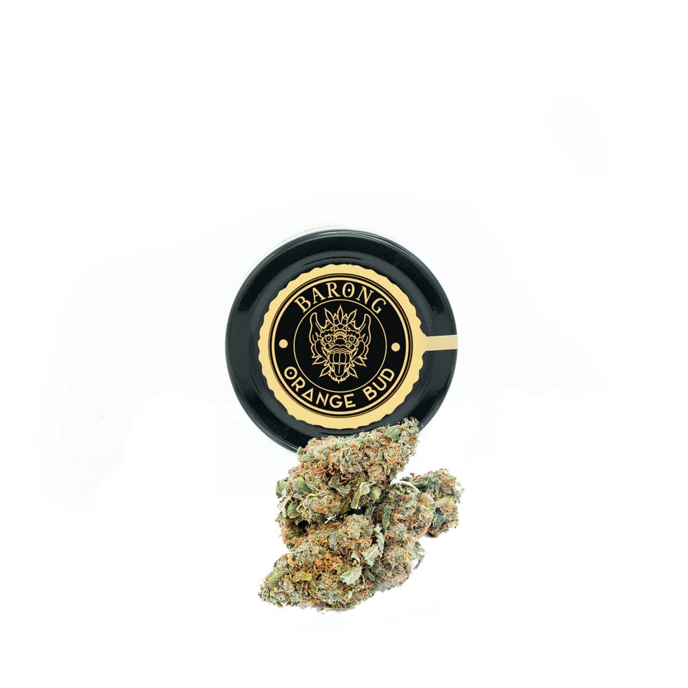 Orange Bud 🍊🍯 - Image 2