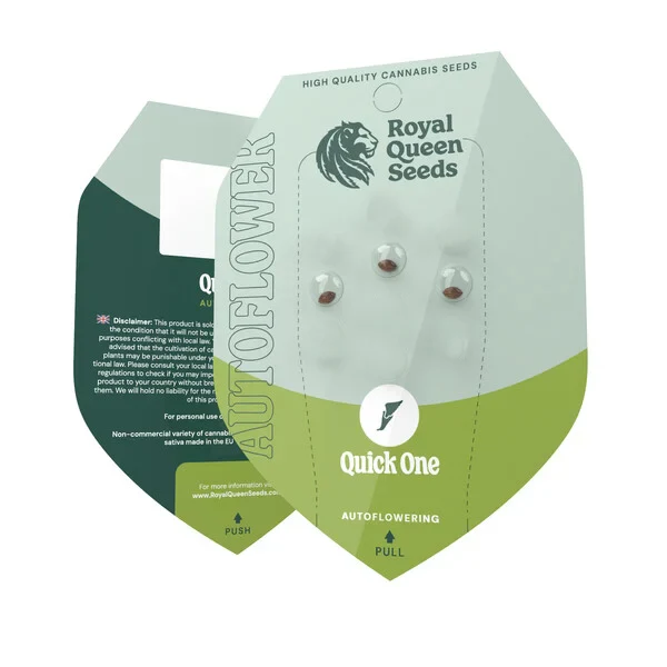 Quick One - Royal Queen Seeds | Graines Autofloraison x3 - Image 3